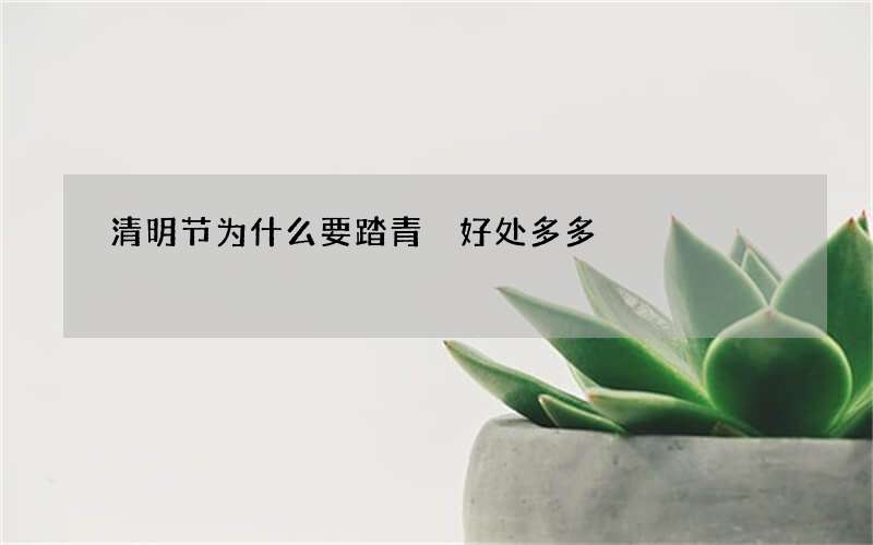 清明节为什么要踏青 好处多多